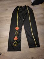 Mad Hatter Alice in Wonderland Herenkostuum - Carnaval Thema, Ophalen of Verzenden, Zo goed als nieuw, Carnaval, Kleding