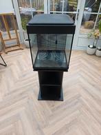 Aquarium met onderkast en lamp,  90 liter, Dieren en Toebehoren, Vissen | Aquaria en Toebehoren, Ophalen, Gebruikt, Leeg aquarium