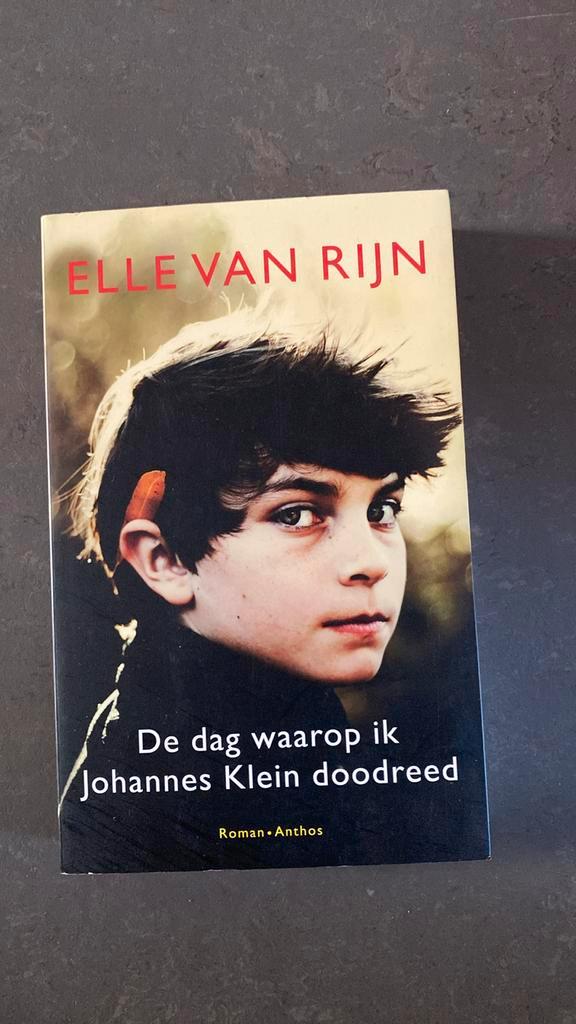 Elle van Rijn - De dag waarop ik Johannes Klein doodreed, Boeken, Literatuur, Zo goed als nieuw, Ophalen of Verzenden