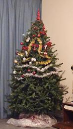 Triumph tree kerstboom 215m, Diversen, Kerst, Ophalen of Verzenden, Zo goed als nieuw