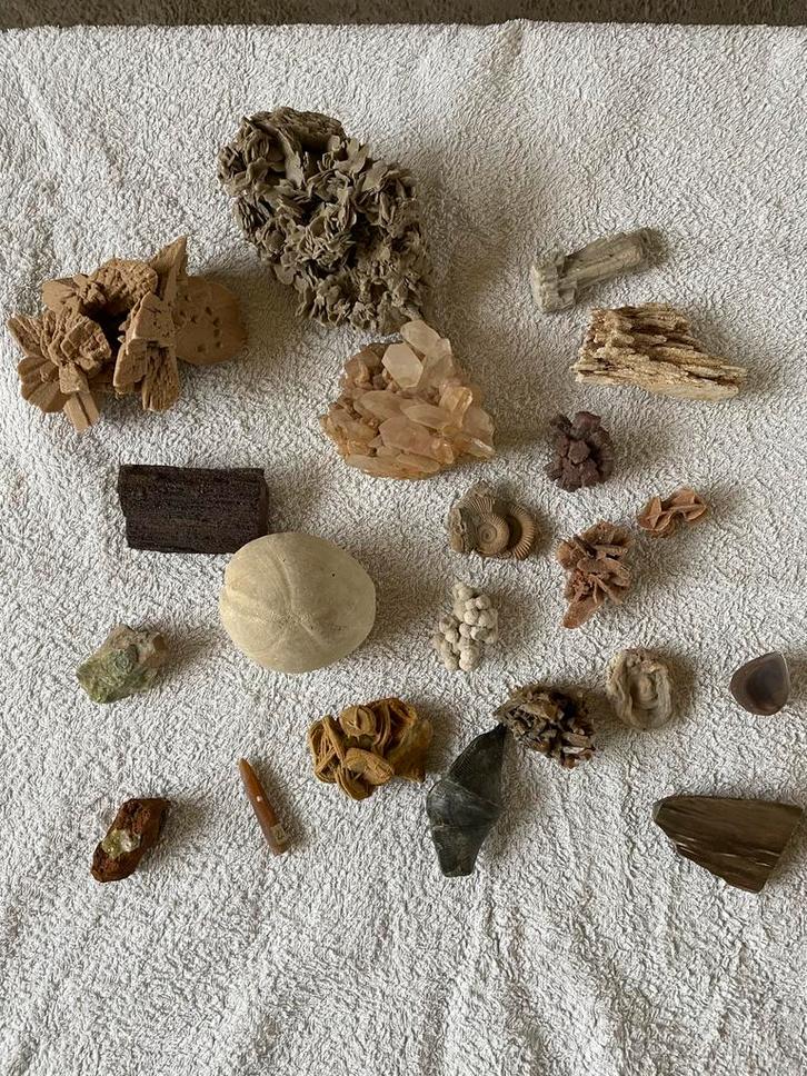 Verzameling Mineralen, Versteend Hout & Fossielen, Verzamelen, Mineralen en Fossielen, Ophalen of Verzenden
