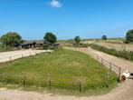 Plekje vrij voor pony, Dieren en Toebehoren, Stalling en Weidegang, 1 paard of pony