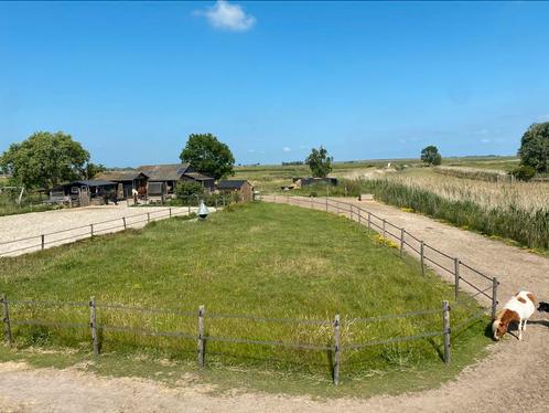 Plekje vrij voor pony, Dieren en Toebehoren, Stalling en Weidegang, 1 paard of pony