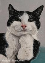 Origineel Handgeschilderd Katten Portretje 18 x 13 cm Kunst, Minder dan 50 cm, Oorspronkelijke maker, ., Nieuw