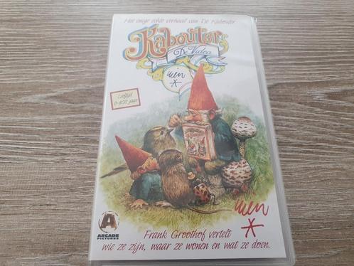 David de kabouter  VHS videoband, Cd's en Dvd's, VHS | Kinderen en Jeugd, Zo goed als nieuw, Tekenfilms en Animatie, Tekenfilm