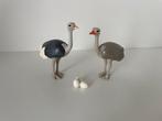 Dieren: struisvogels met eieren, Kinderen en Baby's, Speelgoed | Playmobil, Ophalen of Verzenden, Gebruikt, Complete set