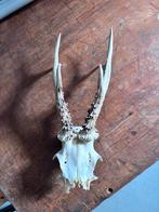 Geweirek Reebok, Ophalen