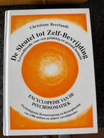 Boek Sleutel tot Zelf-Bevrijding - Beerlandt, Boeken, Ophalen of Verzenden, Zo goed als nieuw, Spiritualiteit algemeen, Achtergrond en Informatie