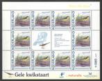 Vogels in Nederland: Gele Kwikstaart, Ophalen of Verzenden, Na 1940, Postfris
