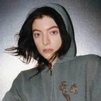 1x lorde ticket 25 november, Tickets en Kaartjes, Concerten | Pop, Eén persoon, November