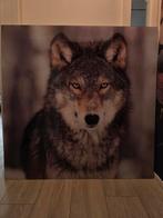 Schilderij Wolf op Plexiglas - 120x120, Ophalen, Gebruikt, Schilderij, 100 tot 125 cm