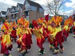 Grote loopgroep minimaal 35 personen carnaval, Ophalen of Verzenden, Zo goed als nieuw, Overige maten, Carnaval