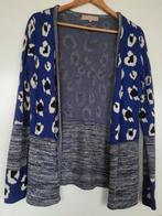 Glitter vestje Josh V Maat M, Ophalen of Verzenden, Zo goed als nieuw