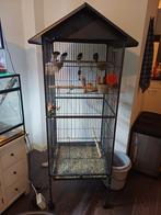 Mooi vogelkooi met vogels, Ophalen of Verzenden, Zo goed als nieuw, Metaal, Vogelkooi