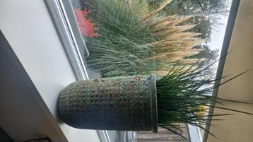 Twee grote stenen bloempotten voor binnen beschikbaar voor biedingen