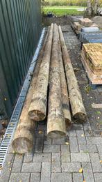 Ronde palen meerpalen, Ophalen of Verzenden, Zo goed als nieuw, 250 cm of meer, Palen