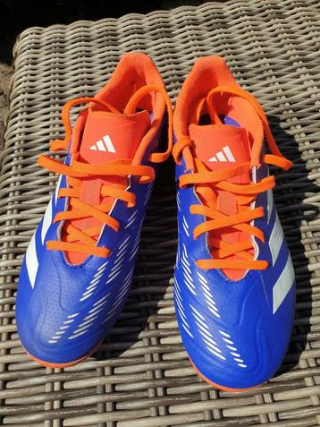 Adidas Performance Predator, voetbalschoenen maat 38 beschikbaar voor biedingen