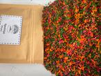 Speelrijst Herfst zakje 250 gram, Ophalen of Verzenden, Nieuw, Ontdekken