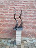 Koedoe Kudu hoorns hoorn sculpturen 2 stuks, Ophalen