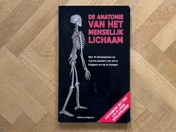 Anatomie van het Menselijk Lichaam, posterboek beschikbaar voor biedingen