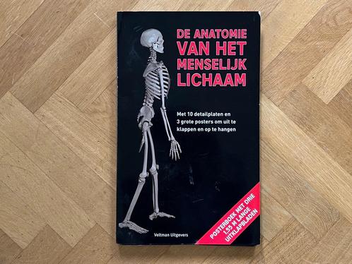 Anatomie van het Menselijk Lichaam, posterboek, Boeken, Wetenschap, Zo goed als nieuw, Overige wetenschappen, Ophalen of Verzenden