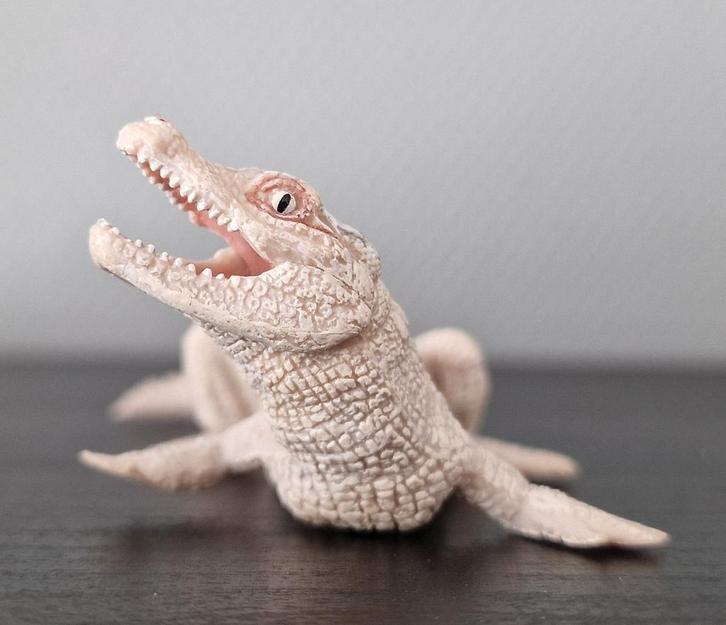 Papo Albino Krokodil - 2012, Verzamelen, Dierenverzamelingen, Gebruikt, Beeldje of Figuurtje, Reptiel of Amfibie, Ophalen of Verzenden