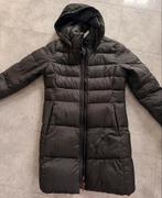 Tommy Hilfiger Winterjas, Kleding | Dames, Maat 38/40 (M), Zwart, Ophalen of Verzenden, Zo goed als nieuw
