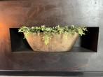 Gouden bootvorm plantenpot - 69cm, Tuin en Terras, Bloembakken en Plantenbakken, Ophalen, Overige materialen, Gebruikt, Minder dan 30 cm