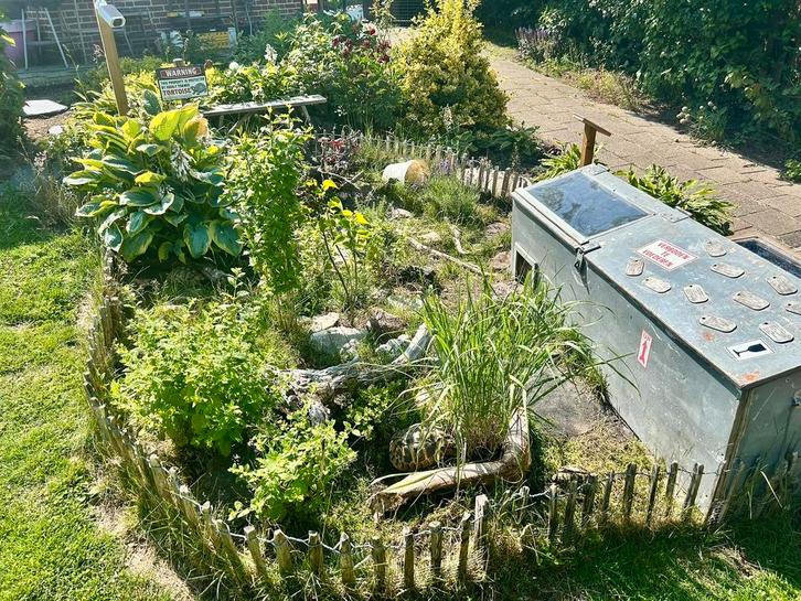 Landschildpadden paradijs  (opvang), Dieren en Toebehoren, Reptielen en Amfibieën, Schildpad