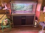 Aqarium 120, Ophalen, Gebruikt, Leeg aquarium
