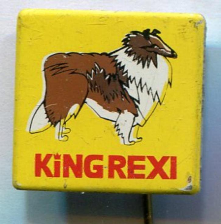 Colli KING REXI blik honden speldje ( N_080 ), Verzamelen, Speldjes, Pins en Buttons, Zo goed als nieuw, Speldje of Pin, Dier of Natuur