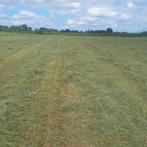 Te koop plm 550 pak mooi droog hooi, Dieren en Toebehoren, Stalling en Weidegang