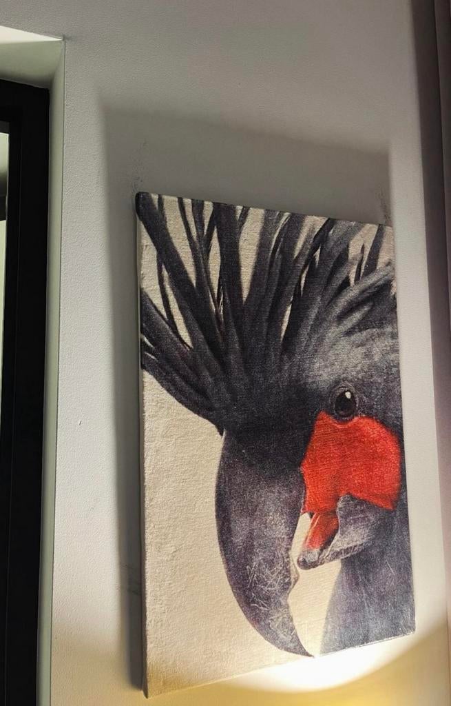 Kaketoe canvas doek/ schilderij, Ophalen