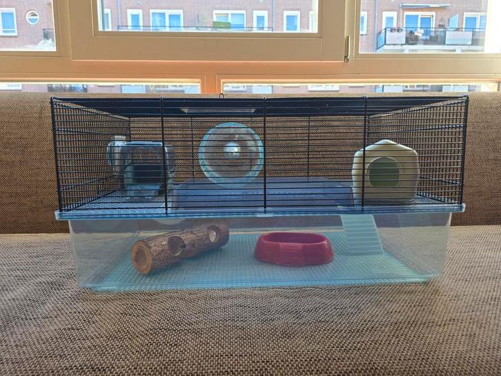 Grote Hamsterkooi en alle benodigdheden, Dieren en Toebehoren, Knaagdieren en Konijnen | Hokken en Kooien, Kooi, Minder dan 60 cm