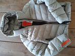 jassen, Kleding | Dames, Jassen | Winter, Superdry, Nieuw, Ophalen of Verzenden, Maat 36 (S)
