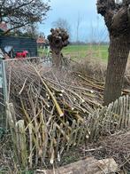 Gratis wilgentakken, Tuin en Terras, Ophalen, Volle zon, Overige soorten