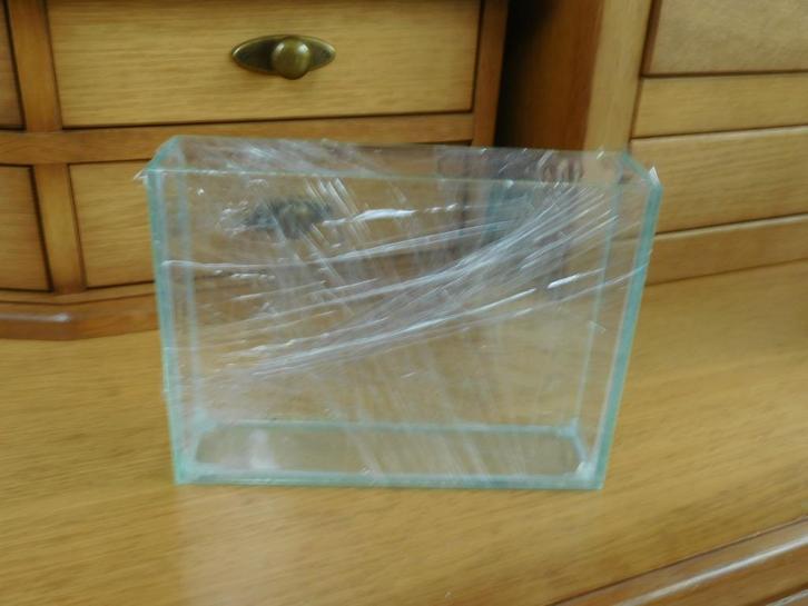 fotobakjes voor het fotograferen van vissen, Dieren en Toebehoren, Vissen | Aquariumvissen, Vis