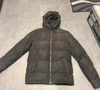 Winterjas Supply & Demand - Zwart, Kleding | Heren, Ophalen of Verzenden, Zo goed als nieuw, Maat 46 (S) of kleiner, Zwart