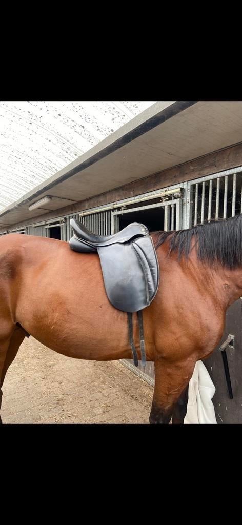 Hulsebos dressuurzadel, Dieren en Toebehoren, Ophalen of Verzenden, Zo goed als nieuw