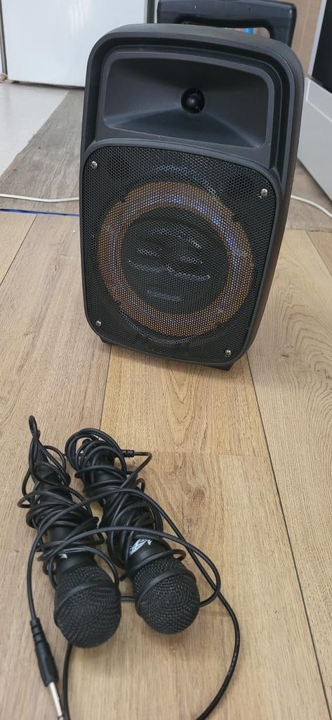 Karaoke box met 2 microfoons, Ophalen