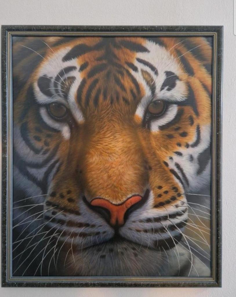 Tijger schilderij, Ophalen