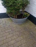 Zinken teil, Gebruikt, Ophalen of Verzenden, Metaal, 30 tot 60 cm