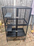 Grote knaagdier kooi, Ophalen, Kooi, Gebruikt, 90 cm of meer