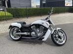 Harley Davidson Chopper VRSCF V-Rod Muscle STAGE.1 Vance & H, Motoren, Motoren | Harley-Davidson, Chopper, Bedrijf, Meer dan 35 kW