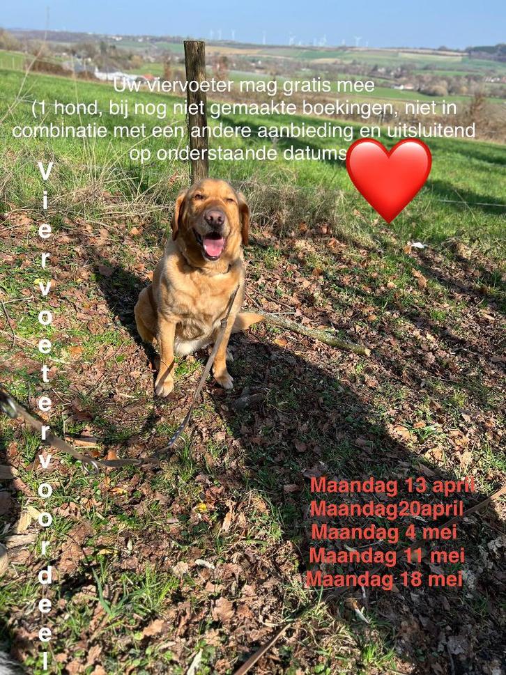 Op vakantie met de hond in omheinde bungalow zuid Limburg, Dieren en Toebehoren, Hondenhokken, Nieuw, Minder dan 65 cm, 110 cm of meer