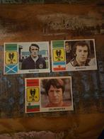 Wk Voetbal 1974 Voetbal plaatjes, Verzamelen, Sportartikelen en Voetbal, Ophalen of Verzenden, Zo goed als nieuw, Buitenlandse clubs