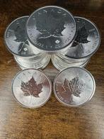 25x 1oz Silver Maple Leaf 2017 – Alleen bieden, Postzegels en Munten, Edelmetalen en Baren, Ophalen of Verzenden, Zilver