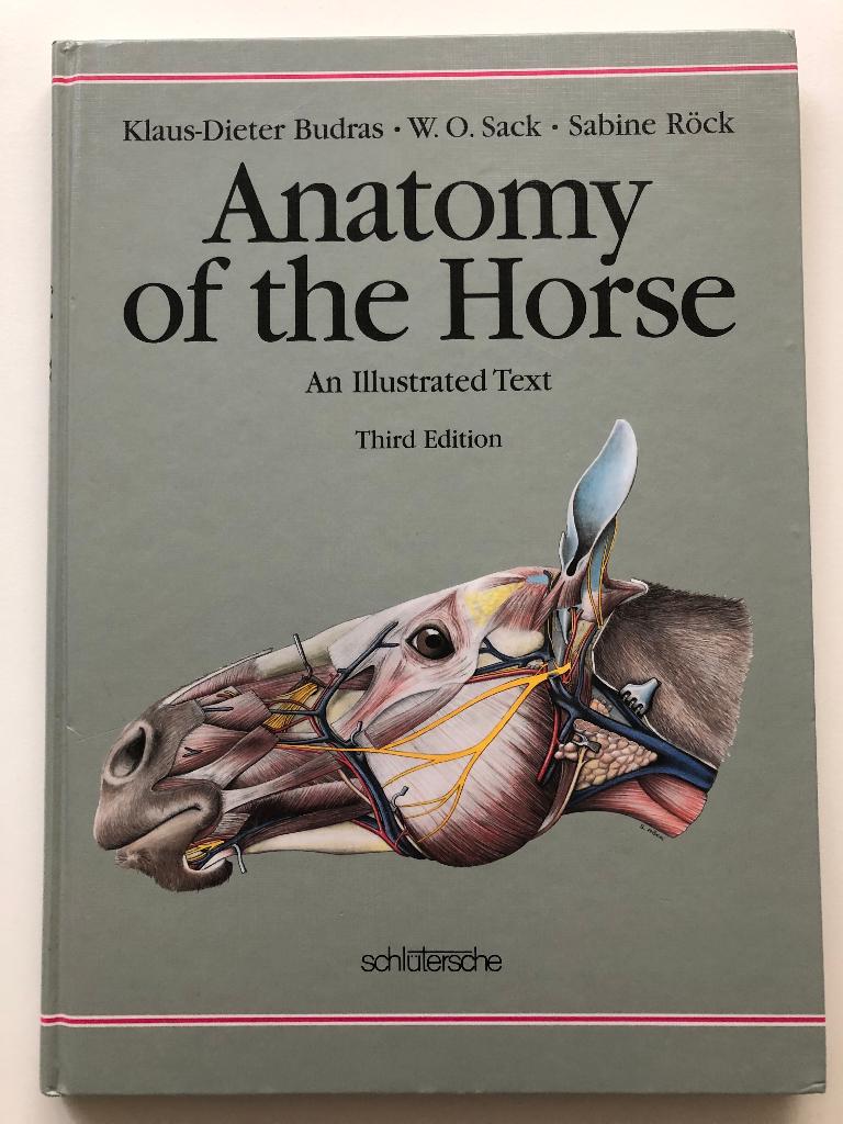 Anatomy of the Horse, Klaus-Dieter Budras, Zo goed als nieuw, Overige wetenschappen, Verzenden