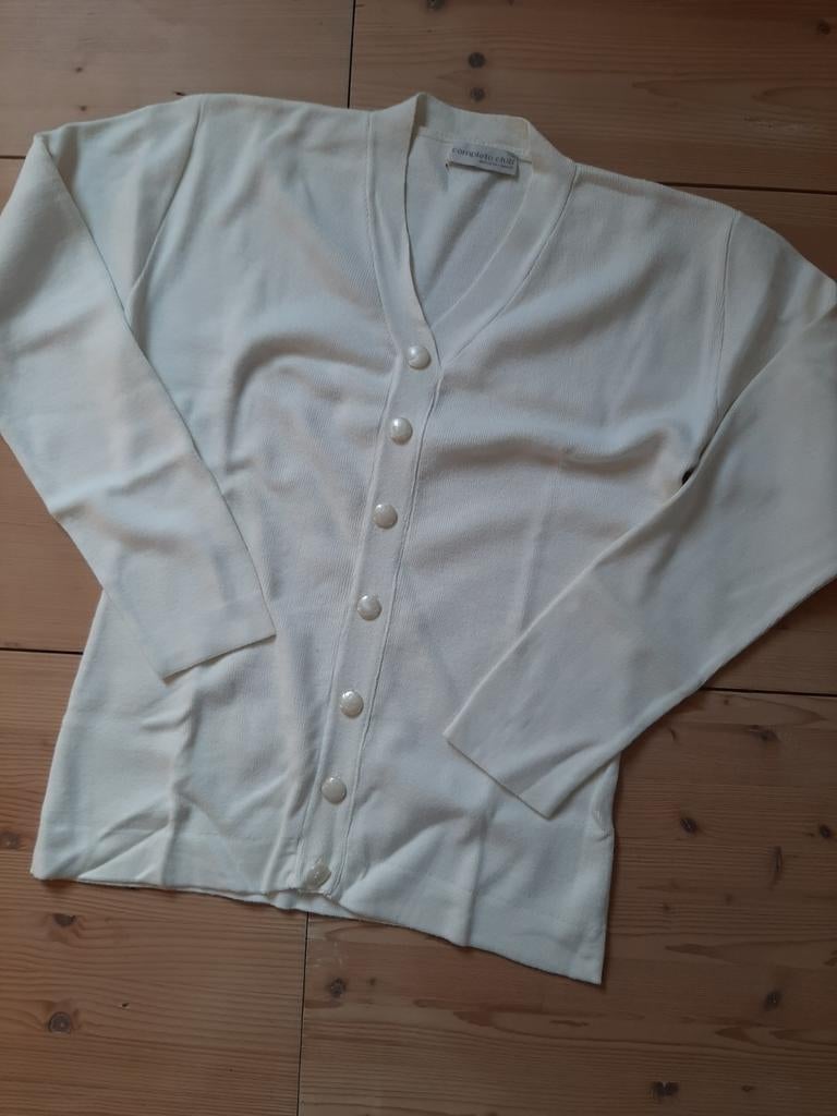 Completo Club Amsterdam crèmekleurig truitje maat 44, Kleding | Dames, Overige kleuren, Maat 42/44 (L), Ophalen of Verzenden, Zo goed als nieuw