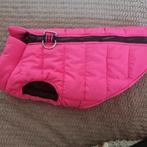 Cute hondenjasje voor dwerg Pincher maat M ca. 4-5 kilo, Ophalen, Zo goed als nieuw, Hondenjas